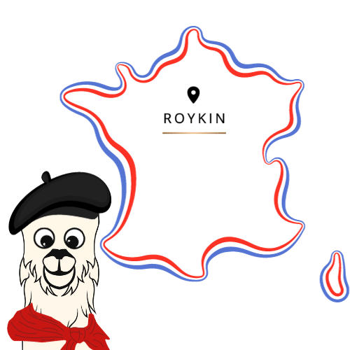 ROYKIN E-LIQUIDE FRANCAIS