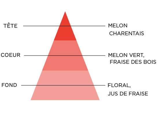 e-liquide sense Melon Fraise pyramide olfactive