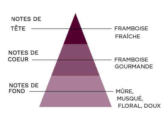 e-liquide sense mûre framboise pyramide olfactive