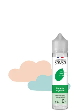E-LIQUIDE GOUT MENTHE