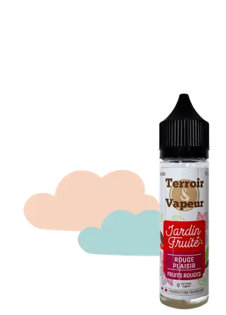 E-LIQUIDES TERROIR ET VAPEUR