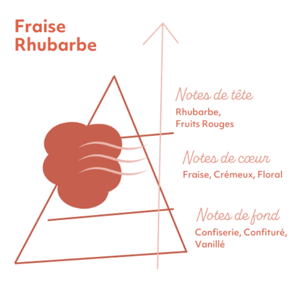 e-liquide fraise rhubarbe pyramide saveur laboratoire sense