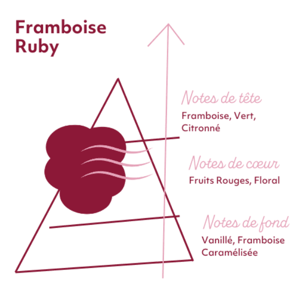 E-LIQUIDE LABORATOIRE SENSE FRAMBOISE RUBY E-LIQUIDE LABORATOIRE SENSE FRAMBOISE RUBY