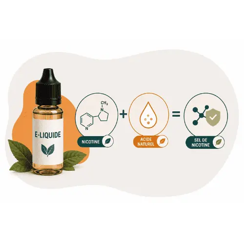 SELS DE NICOTINE DEFINITION