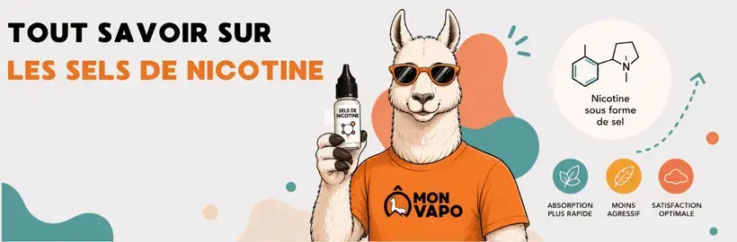 LES E-LIQUIDES SELS DE NICOTINE LE GUIDE
