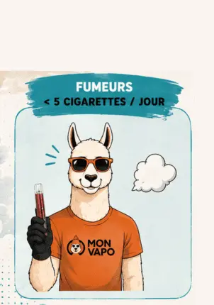 CIGARETTE ELECTRONIQUE PETIT FUMEURS 5 CIGARETTES CIGARETTE ELECTRONIQUE PETIT FUMEURS 5 CIGARETTES