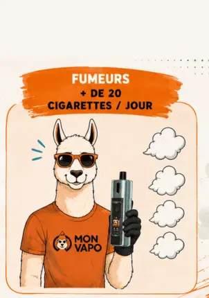 CIGARETTES ELECTRONIQUES GROS FUMEURS 20 CIGARETTES CIGARETTES ELECTRONIQUES GROS FUMEURS 20 CIGARETTES