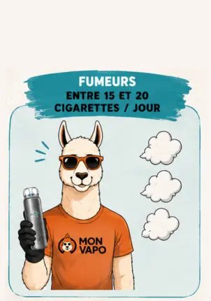 CIGARETTES ELECTRONIQUES FUMEURS REGULIER 15 CIGARETTES CIGARETTES ELECTRONIQUES FUMEURS REGULIER 15 CIGARETTES