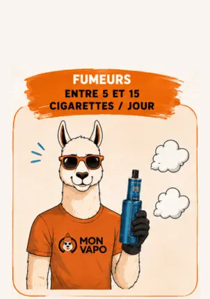 CIGARETTES ELECTRONIQUES FUMEURS MOYEN 10 CIGARETTES CIGARETTES ELECTRONIQUES FUMEURS MOYEN 10 CIGARETTES