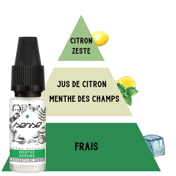 E-LIQUIDE-SENSE-MENTHE-AGRUME-10ML-PYRAMIDE-SAVEURS E-LIQUIDE-SENSE-MENTHE-AGRUME-10ML-PYRAMIDE-SAVEURS