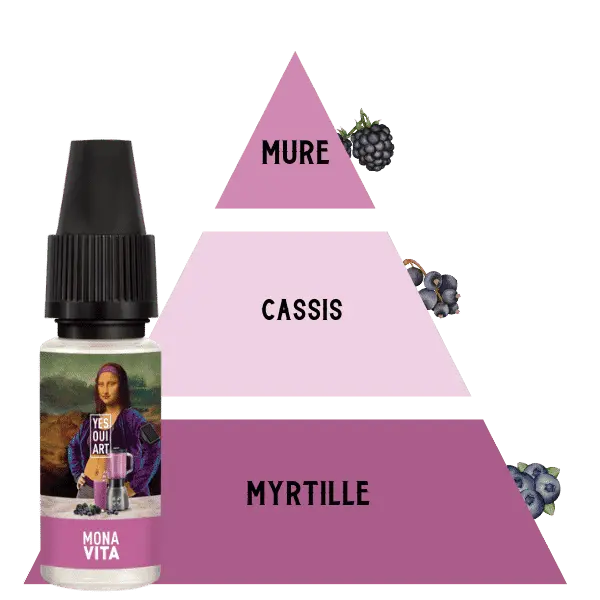 E-LIQUIDE-SENSE-INCROYABLE-MONA-VITA-OUI-ART-10ML-PYRAMIDE-SAVEUR E-LIQUIDE-SENSE-INCROYABLE-MONA-VITA-OUI-ART-10ML-PYRAMIDE-SAVEUR