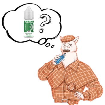E-LIQUIDE FEUILLE DE MENTHE FLOCON POUR QUEL VAPOTEUR E-LIQUIDE FEUILLE DE MENTHE FLOCON POUR QUEL VAPOTEUR