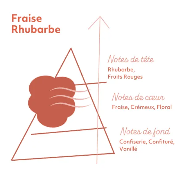 e-liquide sense fraise rhubarbe pyramide saveur e-liquide sense fraise rhubarbe pyramide saveur