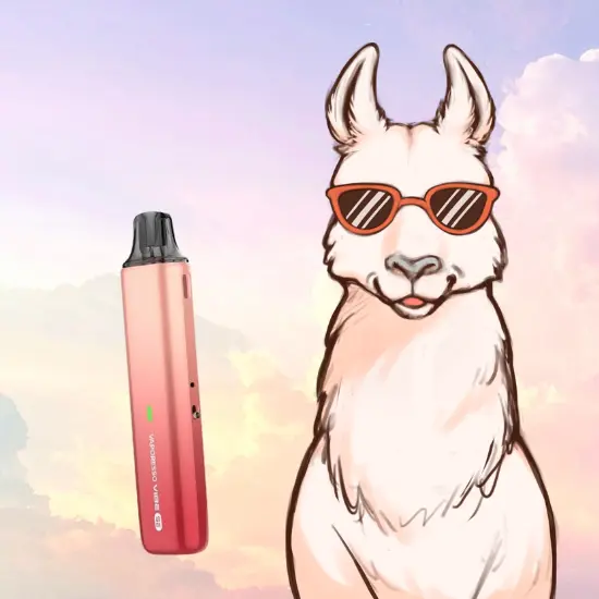 VIBE SE VAPORESSO CONSEIL