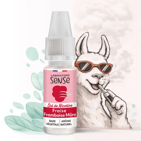 E-LIQUIDE FRAISE MURE FRAMBOISE SELS DE NICOTINE QUEL VAPOTEUR