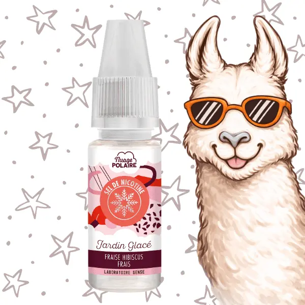 E-LIQUIDE SELS DE NICOTINE NUAGE POLAIRE JARDIN GLACE