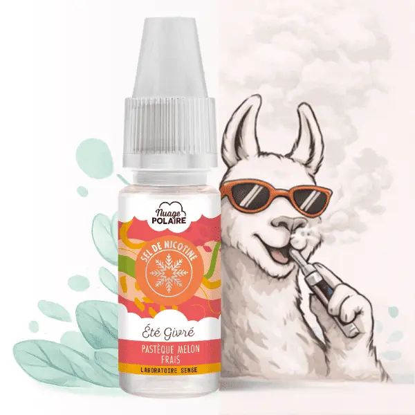 ELIQUIDE NUAGE POLAIRE SELS ETE GIVRE