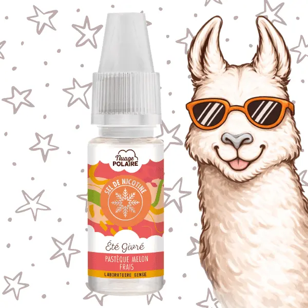E-LIQUIDE SELS DE NICOTINE ETE GIVRE NUAGE POLAIRE SENSE