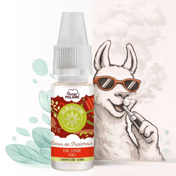 E-LIQUIDE NUAGE POLAIRE SELS DE NICOTINE OASIS FRAICHEUR