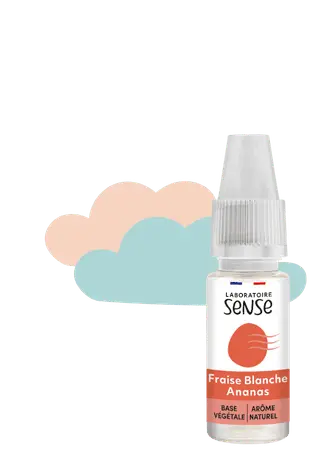 E-LIQUIDES SANS SUCRALOSE EDULCORANT